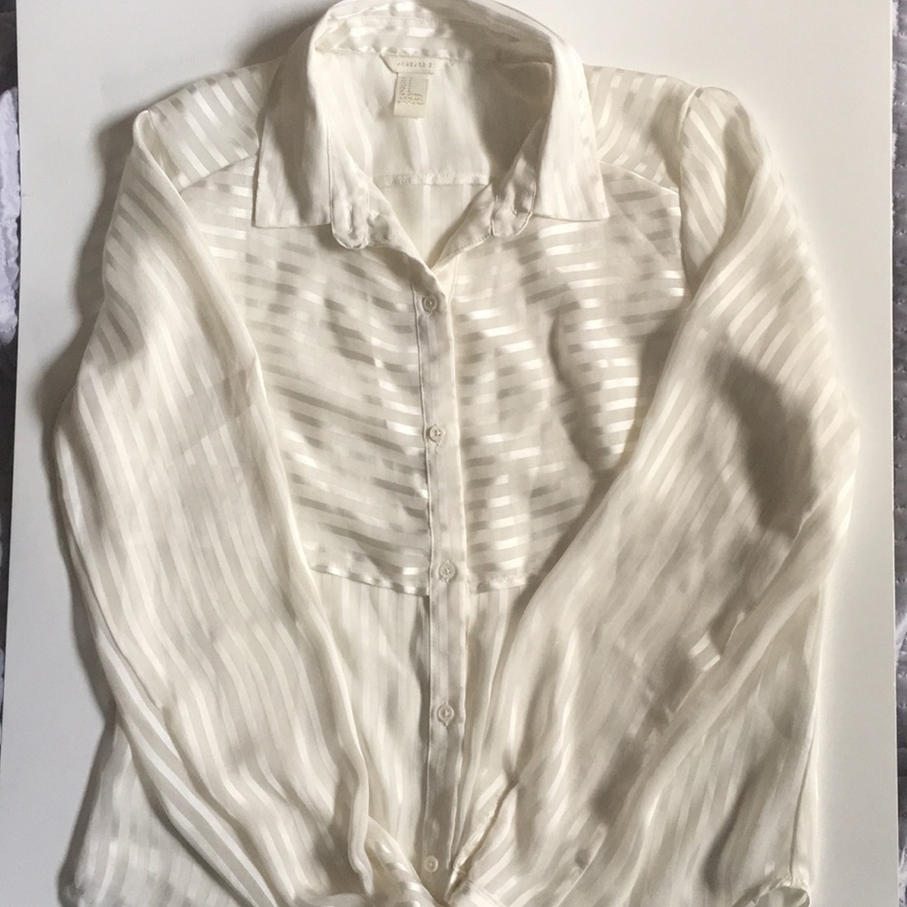 Forever 21 Sheer Blouse